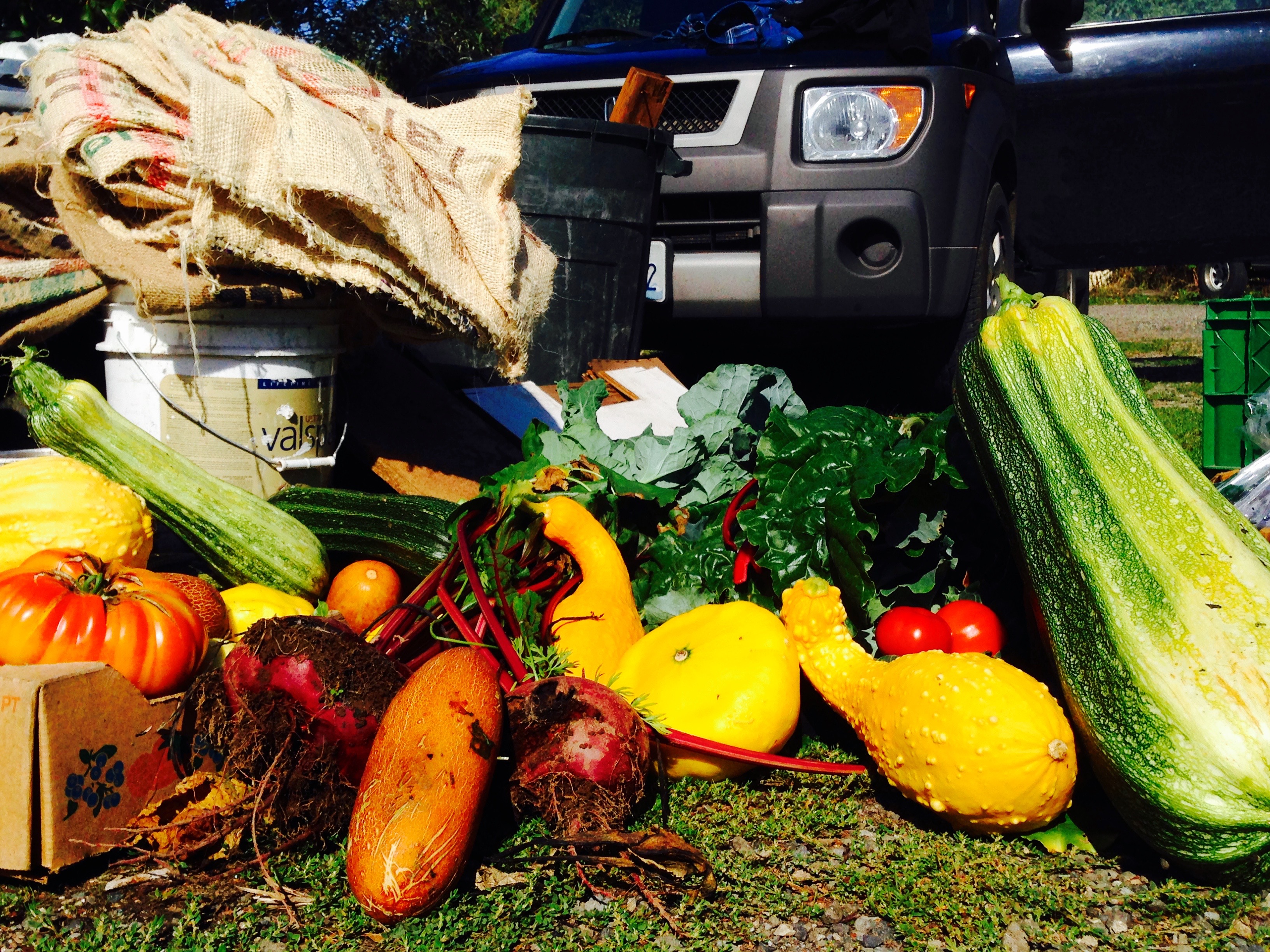 Abundance!