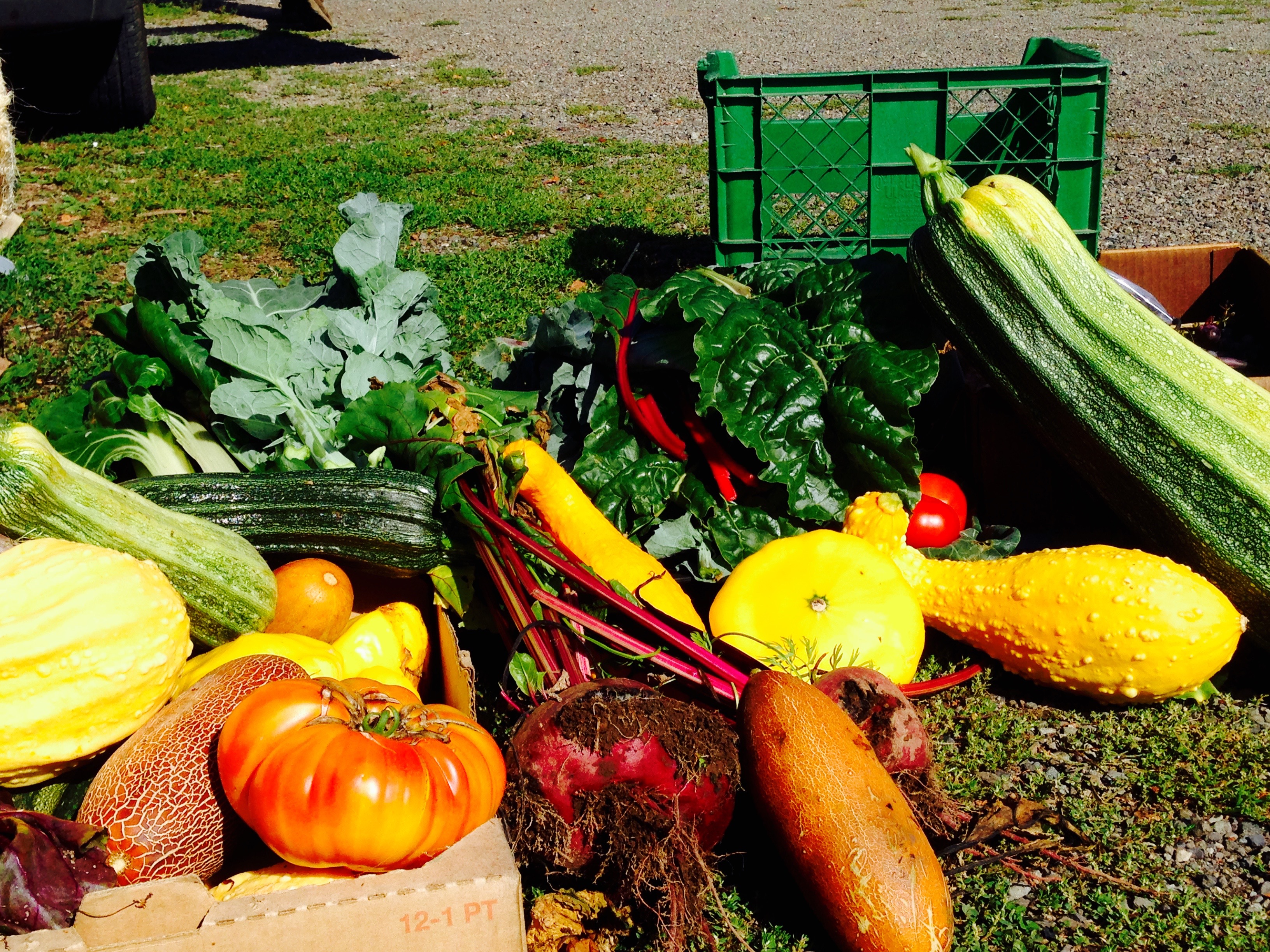 Abundance!