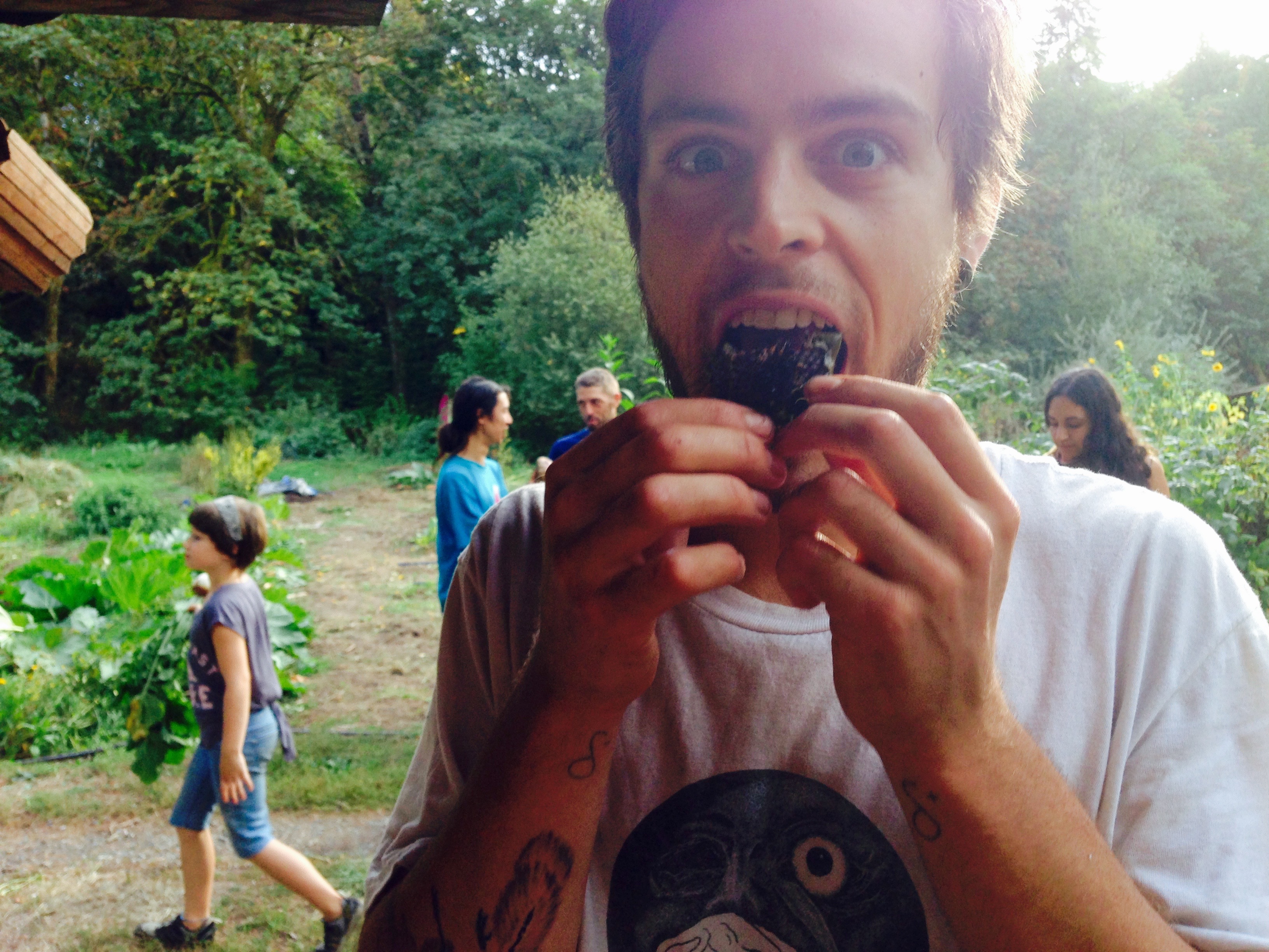 Joey eating a roasted sunflower!