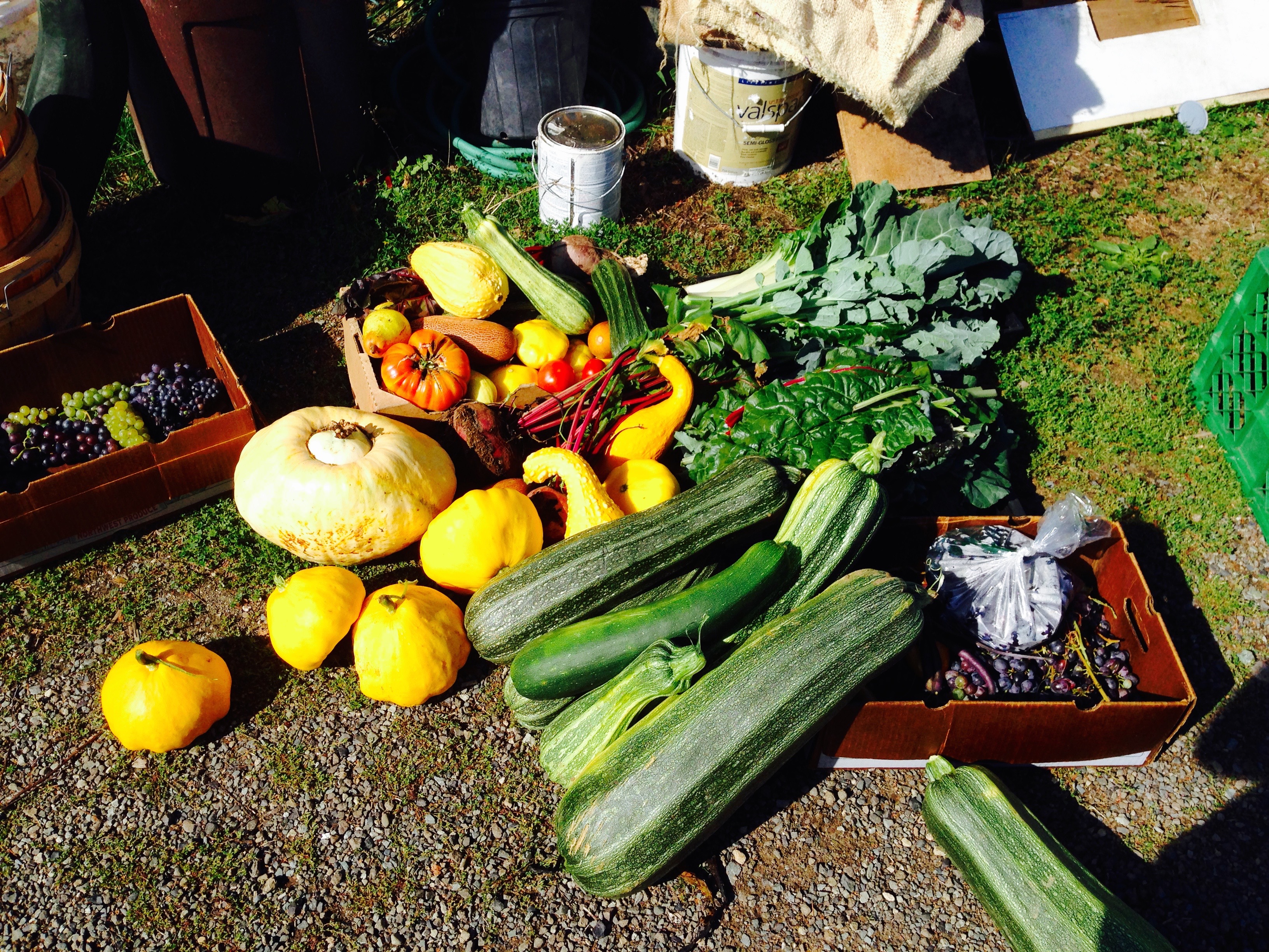 Abundance!