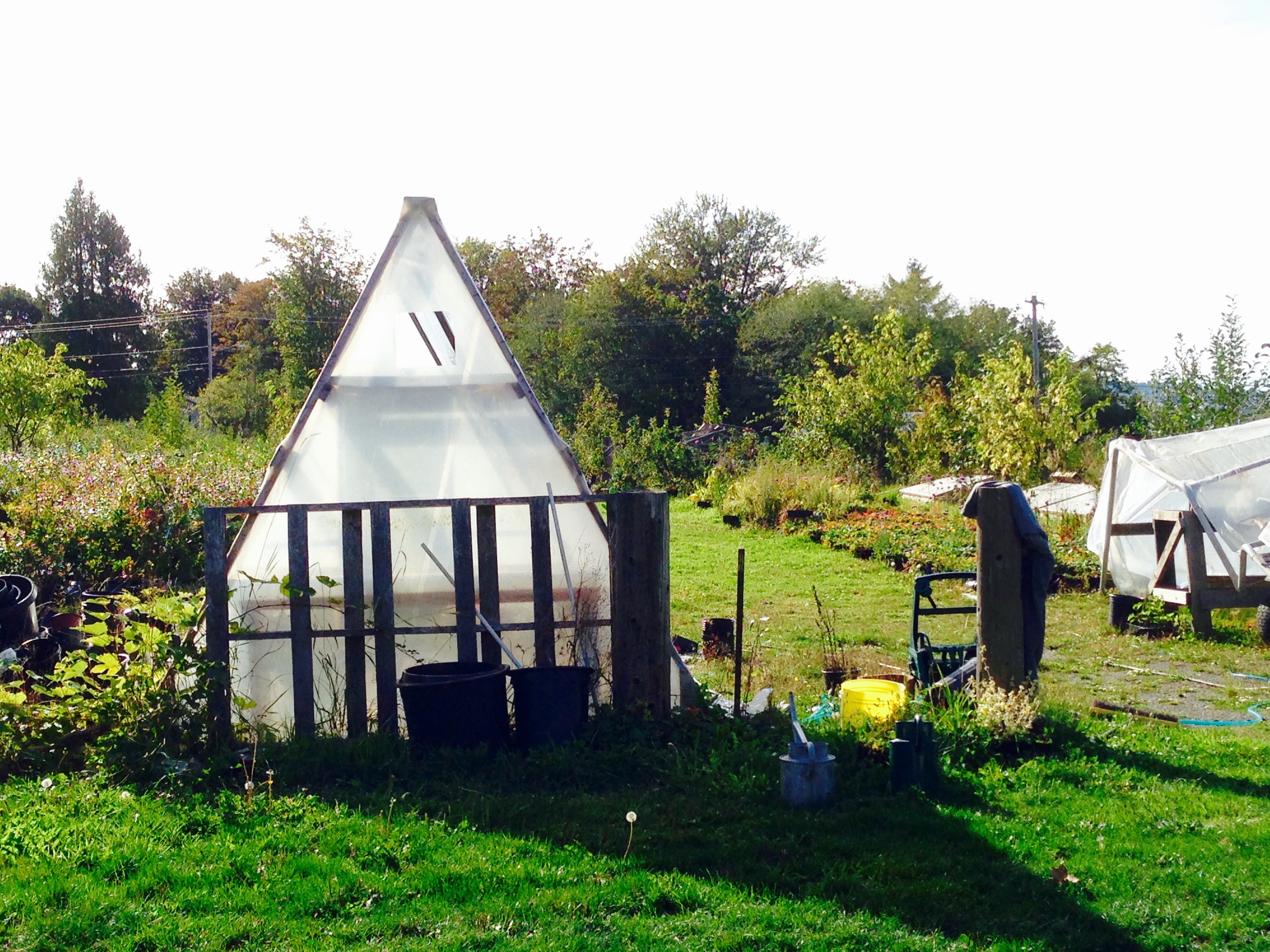 Greenhouse!