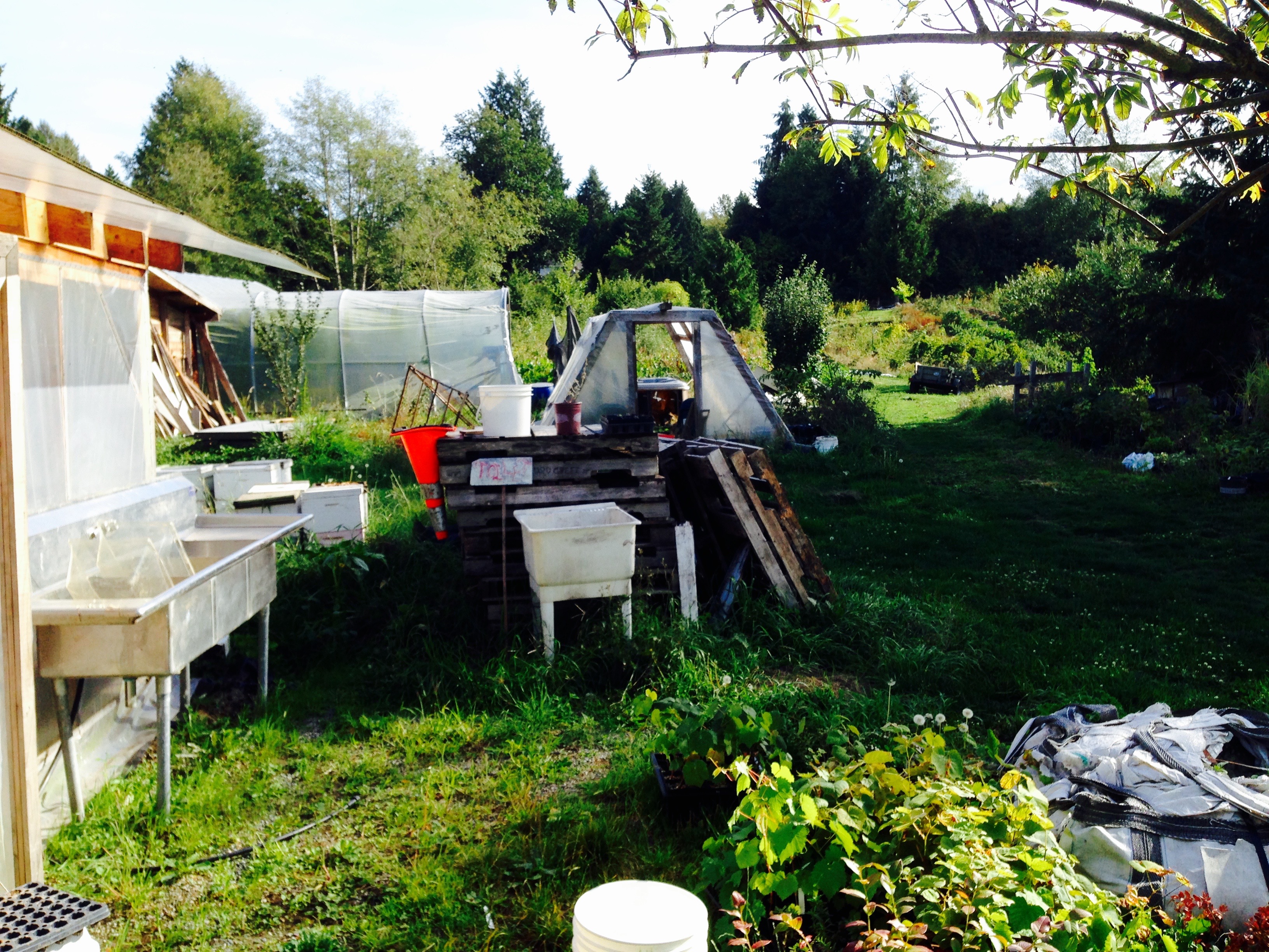 Greenhouse!