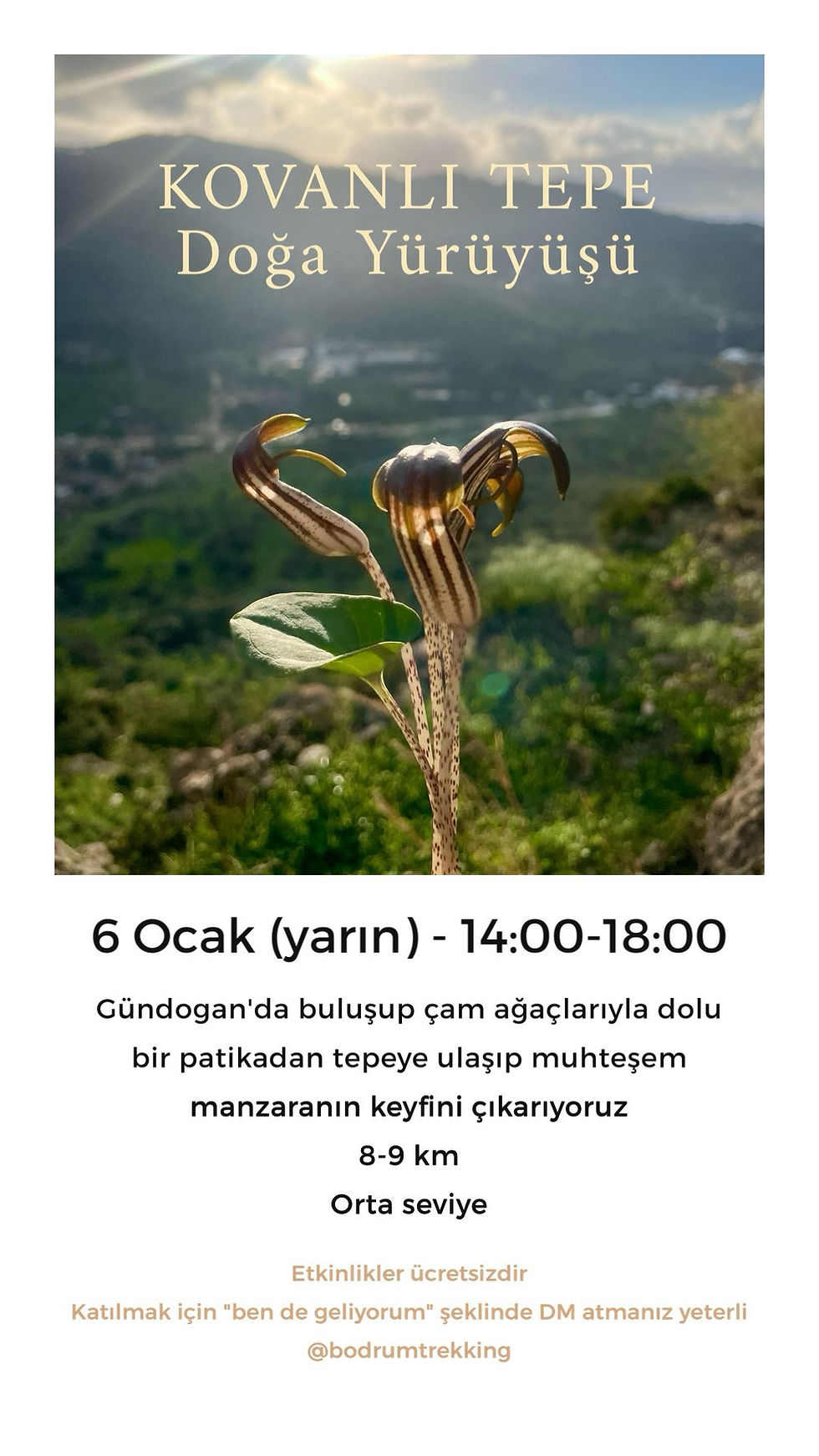 DOĞA YÜRÜYÜŞÜ■ Kovanlı Tepe, Gündoğan / Bodrum Trekking