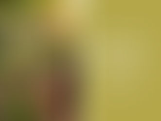 The Art of Observation: Understanding People Through Close Observation