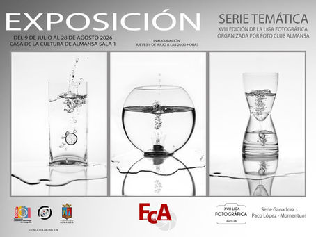 EXPOSICIÓN SERIE TEMÁTICA