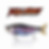Thumbnail: HPF KILLSHOT SERIES 5.3' Jointed Glidebaits