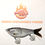 Thumbnail: HPF RipFire Series 5" Jointed Minnow Glide Bait - Death Shad 