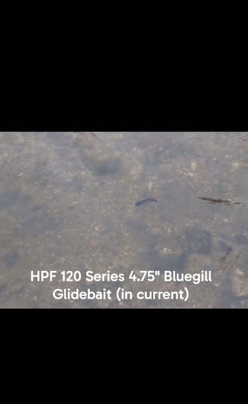 Thumbnail: SLICKLINE 120mm 5" Sunfish Jointed Glide Bait