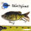 Thumbnail: SLICKLINE 120mm 5" Sunfish Jointed Glide Bait -Red Ear 2-Pack