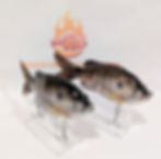 SLICKLINE 120mm 5" Sunfish Jointed Glide Bait