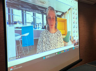 EFF-CoP @ the THEROS project final meeting