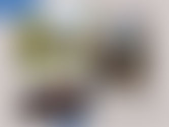 AMBROSIA @ 1st Conference Food Georama