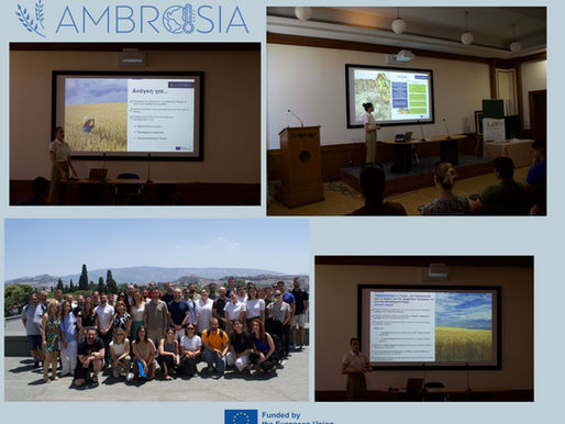 AMBROSIA @ SynergiaDay