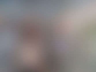 AMBROSIA activities by the University of Leeds