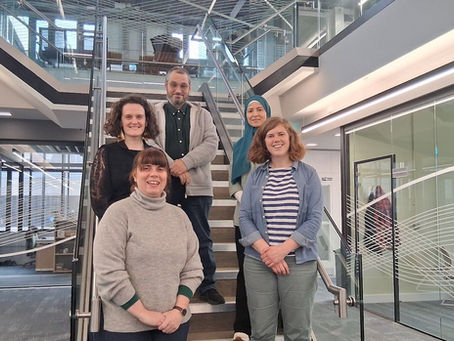 AMBROSIA activities by the University of Leeds