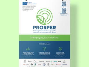 PROSPER Poster