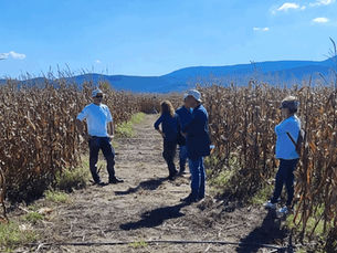 Smart Agro Hub hosts PROSPER Partners for On-Site Planning