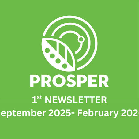 PROSPER 1st Newsletter