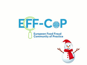 🎄✨ Christmas Wishes from the EFF-Consortium ✨🎄