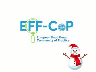 🎄✨ Christmas Wishes from the EFF-Consortium ✨🎄