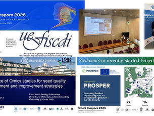 PROSPER @ "Smart Diaspora" event