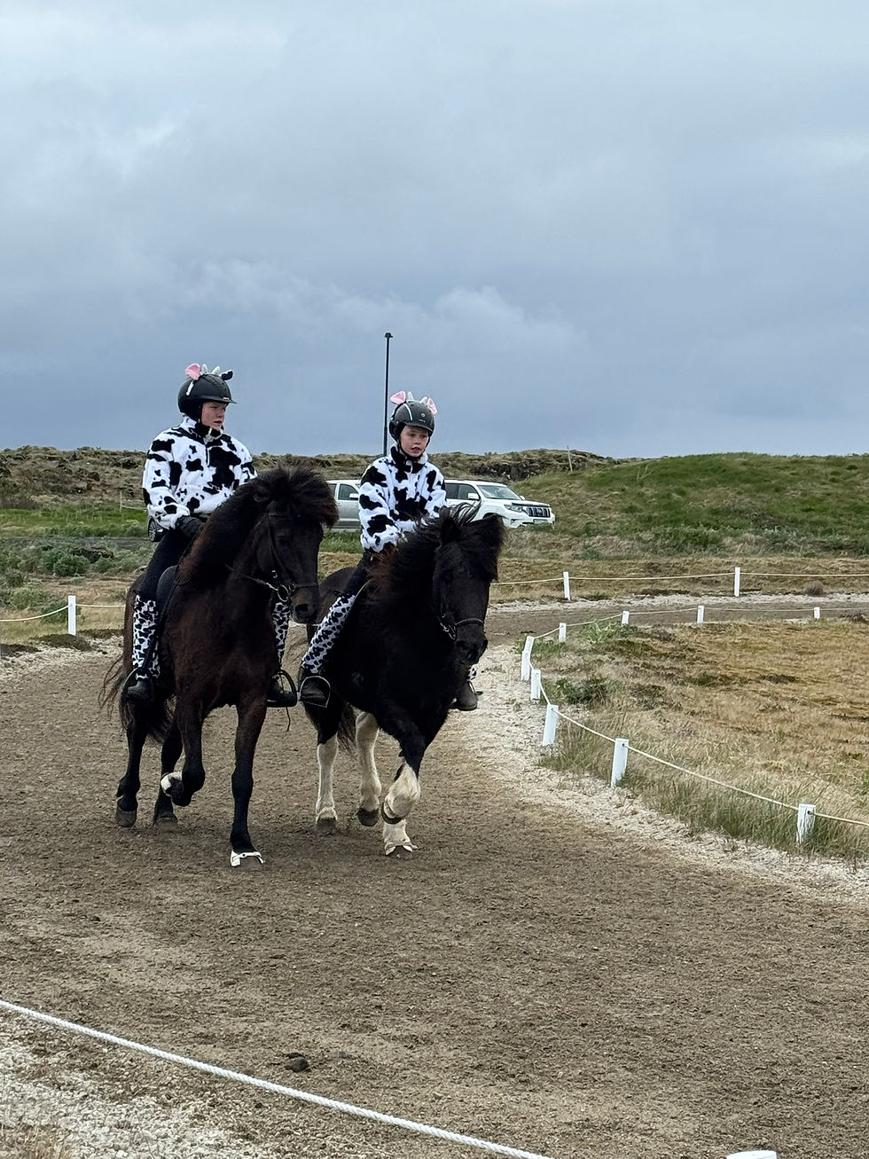Beljuparið