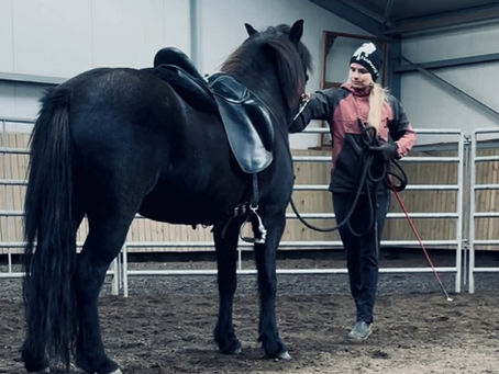 Frumtamningarnámskeið með Sunnu Sigríði