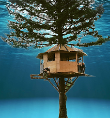 boomhut op zee.png
