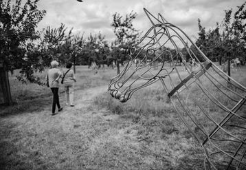 Paard in boomgaard_zw_edited.jpg