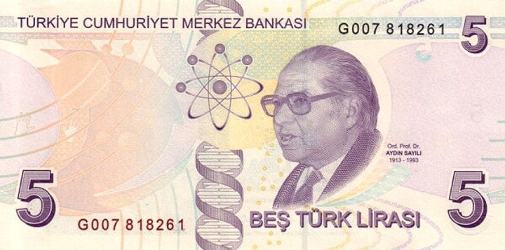 5-Lira-back.jpg