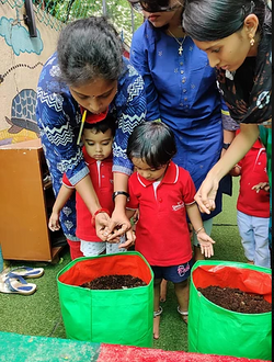 Seed germination presentation