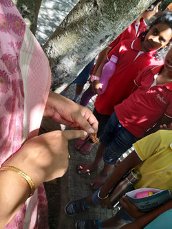 Learning about leaves at the Kotturpuram