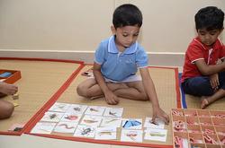 Learning the names of Insects