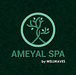 Logo AMEYAL.JPG