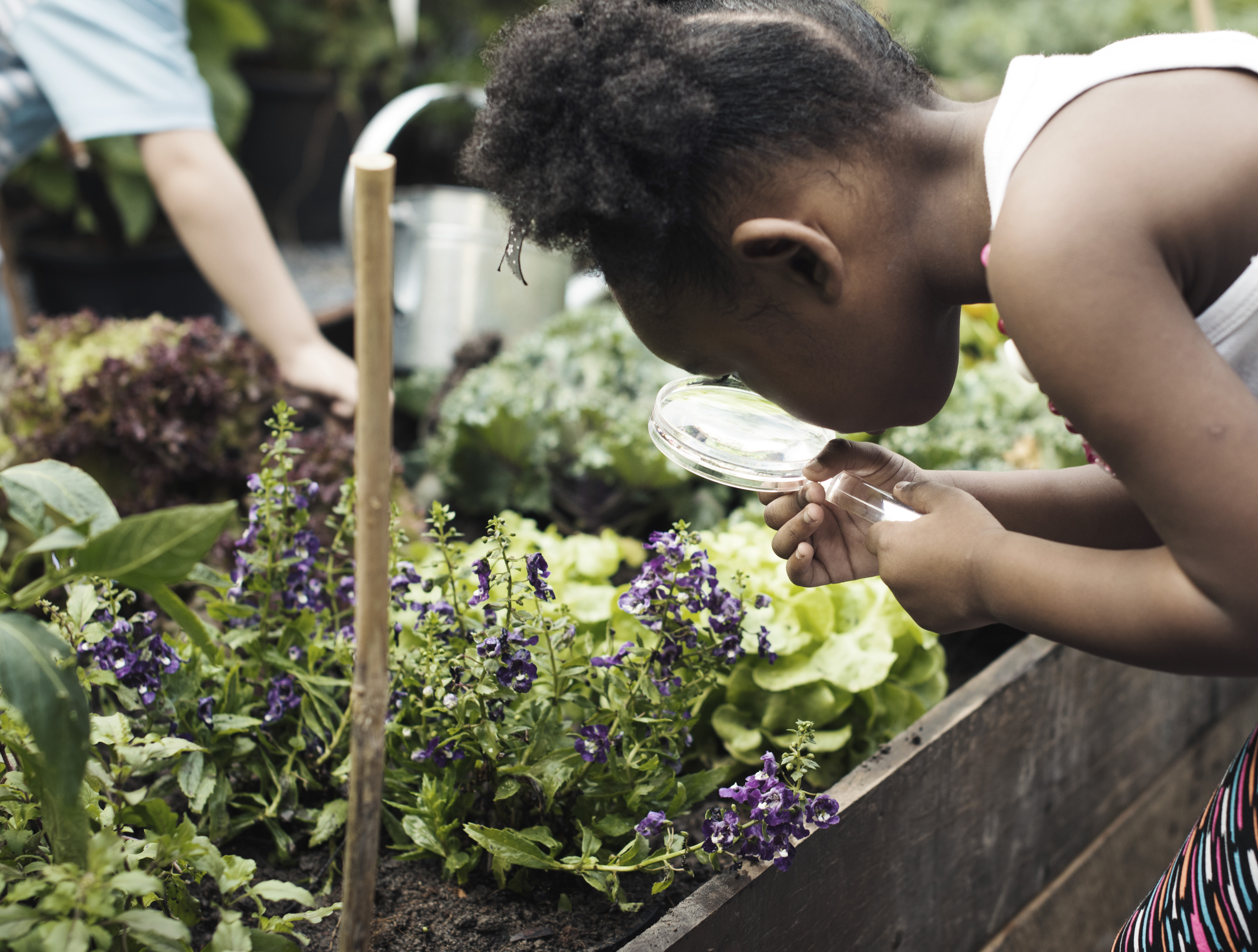 Child observing flowers in garden club
