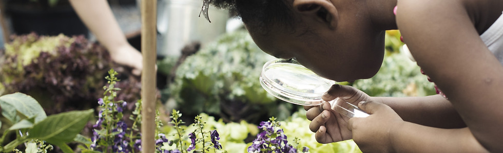 Observing Flowers