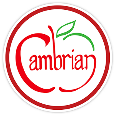Cambria School District