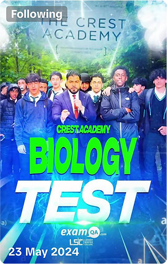 PINNER HIGH TEST (1).png