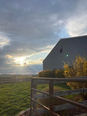 All around equine cover image.jpeg