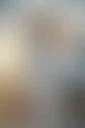 Luxury White Winter & Bag Collection by Vivien Lauren