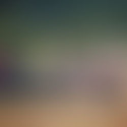 How to Change a Battle with a Single Word! (Part One: White Path)