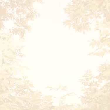 Green foliage frames a view of the sky_e
