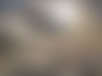 Delitos ambientales: el negocio ilegal que pone en riesgo a periodistas