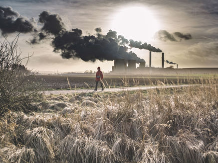 Pollution des sols: un risque sérieux aussi pour les maraîchers