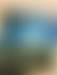 La paroisse Vermilion inaugure son premier programme d'immersion française