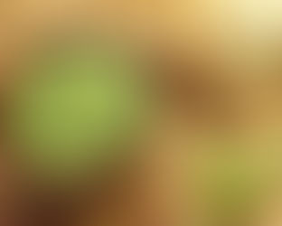 Fèves au repas, tempête sous les draps