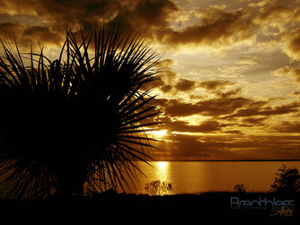 sunset01.jpg