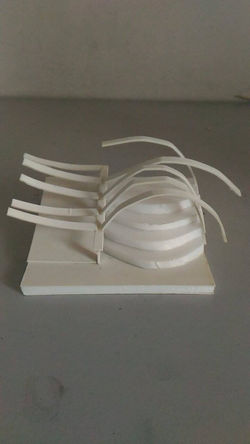 15398800_10210120092251771_586902853_o