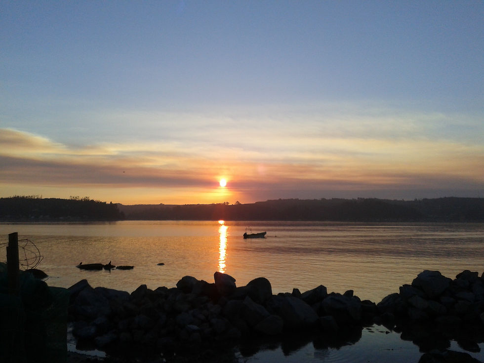 2013-12-22 20.42.36.jpg