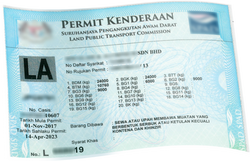 blue permit